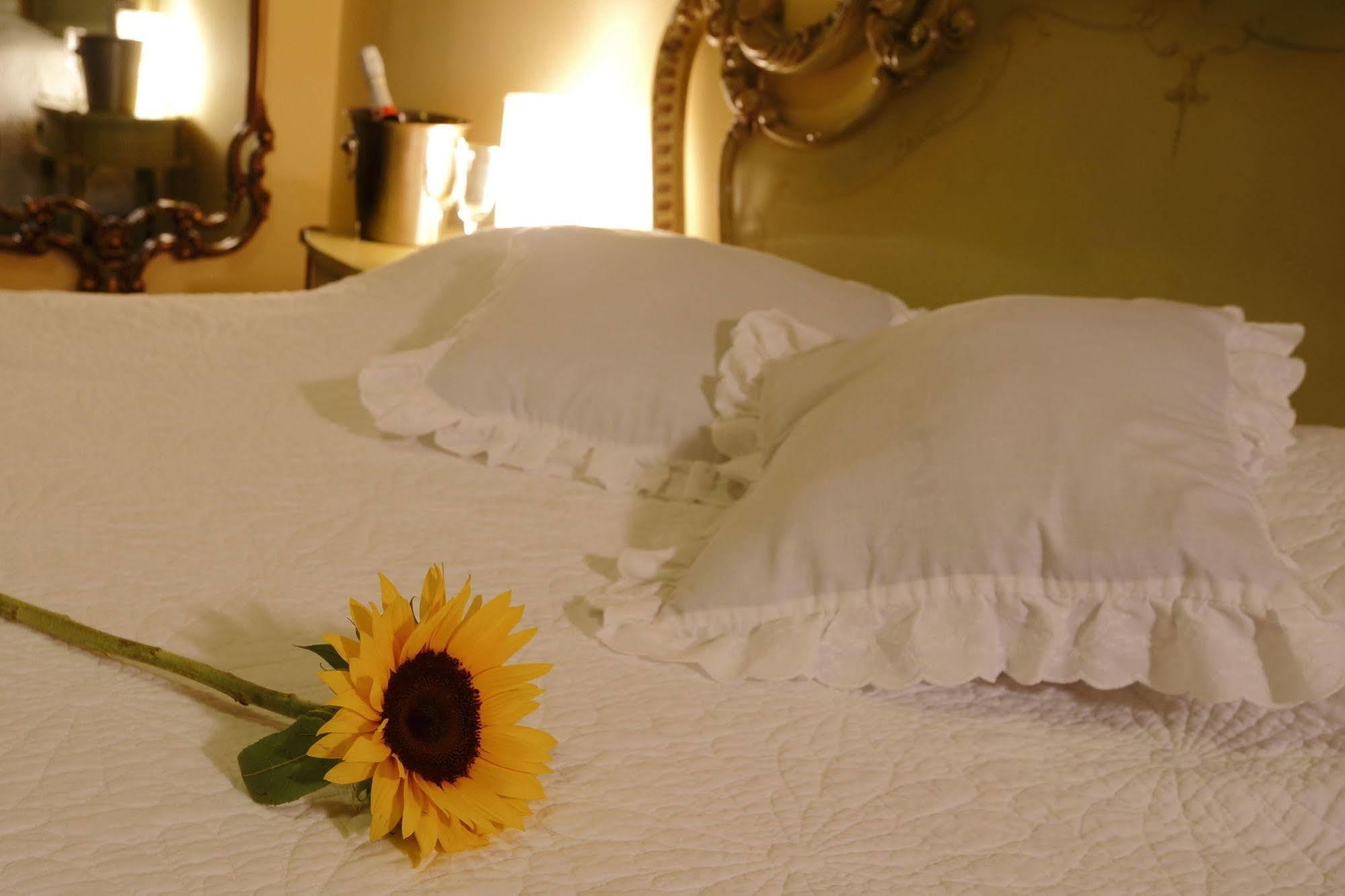 Bed & Breakfast - La Casa De Ceci Lima Kültér fotó